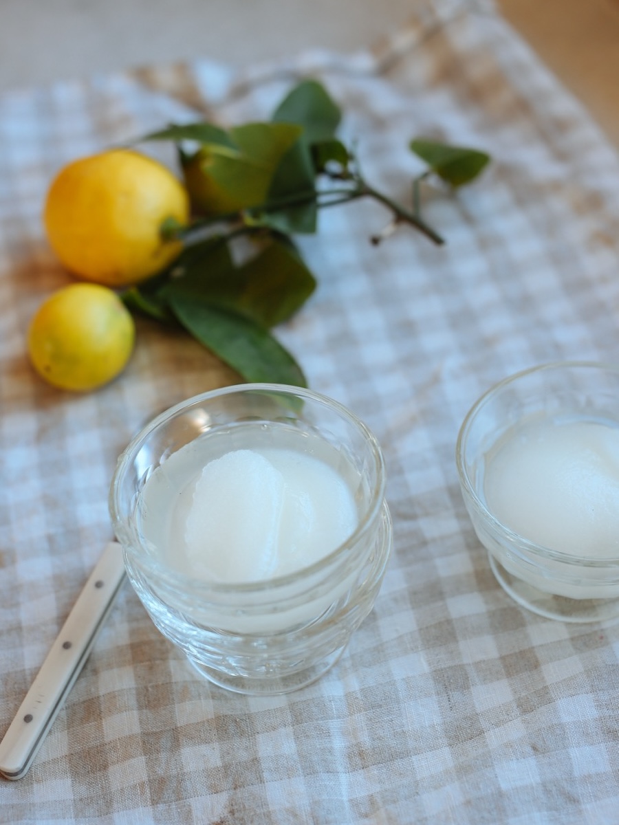 Lemon sorbet from The Colonoscopy Cookbook